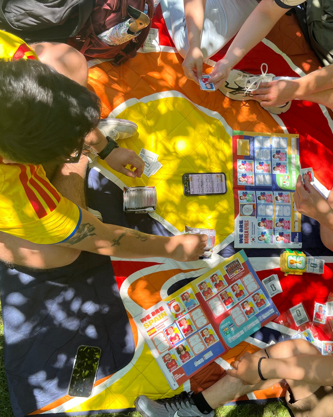 Panini Sticker Swap